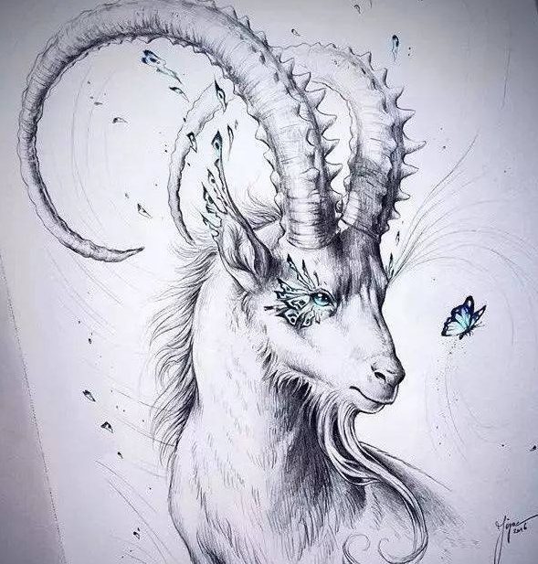 Capricorn Compatibility